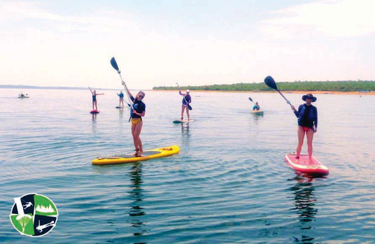 Stand up paddle